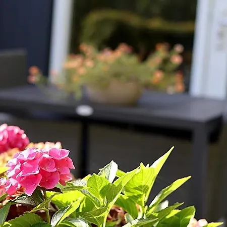 Bed & Breakfast Het Broekeroord