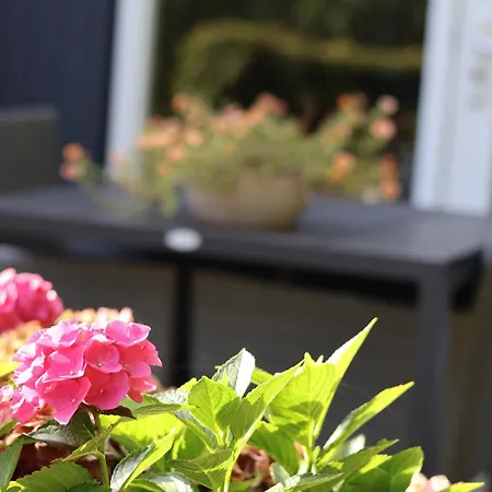 Het Broekeroord Frühstückspension Wezep